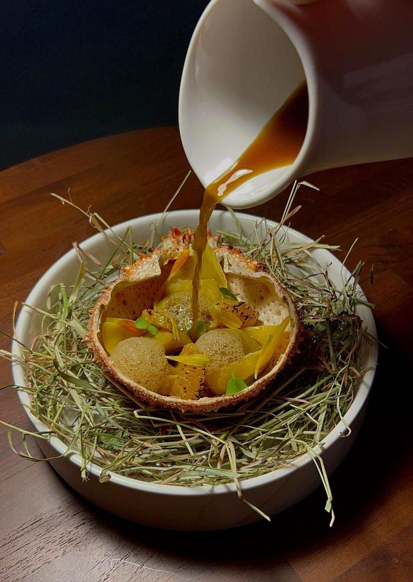 Hotel Maison Pavlov - Restaurant & Spa - Bordeaux Bouscat Le Bouscat Ngoại thất bức ảnh